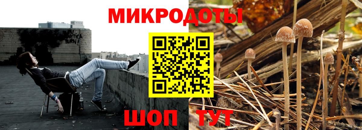 Псилоцибиновые грибы Cubensis  Галлюциногенные грибы Psilocybe  Вход с VPN  Северск 