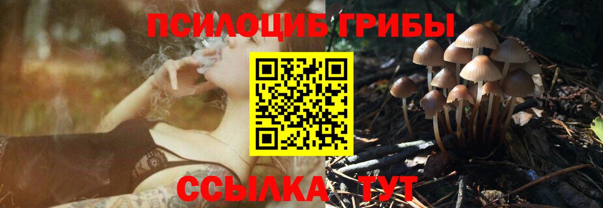 Псилоцибиновые грибы Magic Shrooms Северск